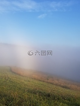 草甸,藍(lán)色,原野
