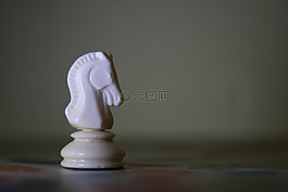棋,馬,游戲