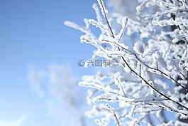 雪景,哈爾濱,冬天