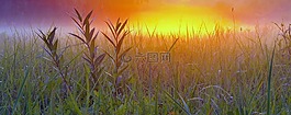 日出,多彩,太陽(yáng)