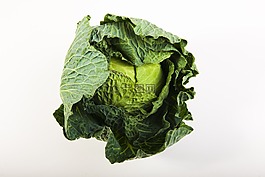綠色,白菜,電源