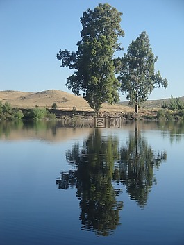 河,岸,樹