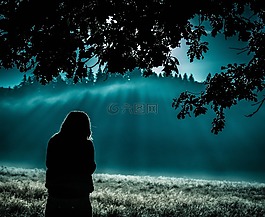 自然,日出,日落