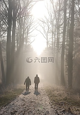 冬天,景觀,性質(zhì)