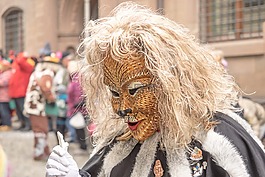 嘉年华,fasnet,丰富多彩