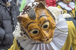 嘉年华,fasnet,丰富多彩