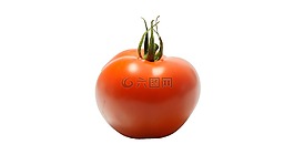 番茄,蔬菜,紅色