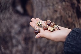 動(dòng)物,秋,背景