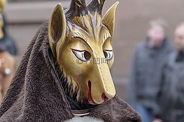 嘉年华,fasnet,丰富多彩