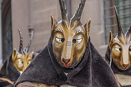嘉年华,fasnet,丰富多彩