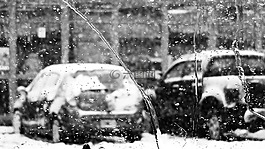 雪,天氣,冬天