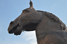 雕像,馬,動(dòng)物