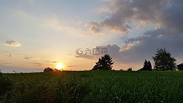 景觀,波蘭,日落