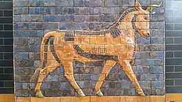 伊斯坦布爾,博物館,土耳其