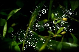 滴的水,水,性質(zhì)