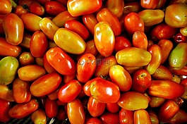 西紅柿,新鮮,蔬菜