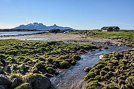 陽光,草甸,湖