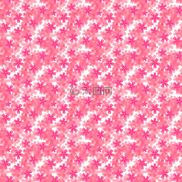 福祿考,少女的,女人
