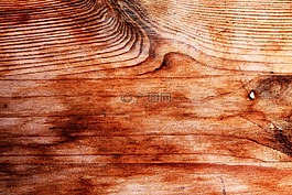木,紋理,糧食