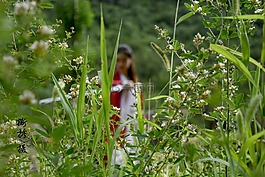 古裝,武俠,人像