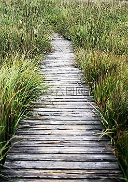 高恩斯,離,棧道