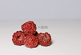 覆盆子,莓果,红色