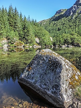 石,山,森林