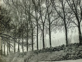 雪,冰,冬天