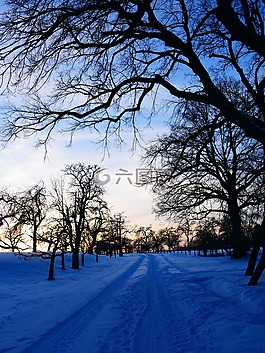冬天,景觀,雪