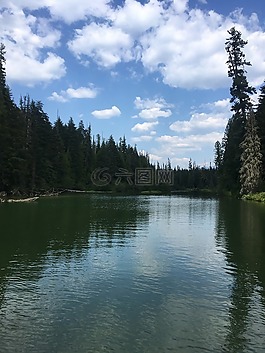 湖,水,夏天