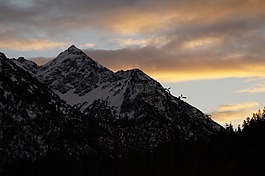 阿爾高,高山,山