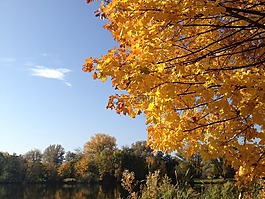 秋季,太陽(yáng),天空
