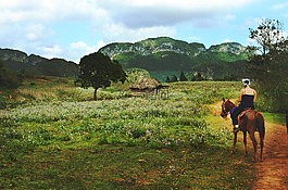 山寨,農(nóng)村,字段