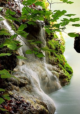 瀑布,水,綠色