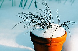 斗,花盆,雪
