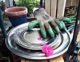 花園,花卉,園藝手套