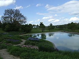公园,parklandschaft,湖