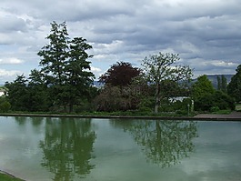parklandschaft,心情,湖