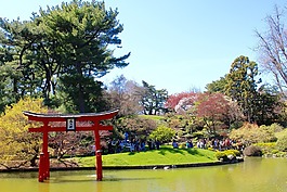 日本,拱,池