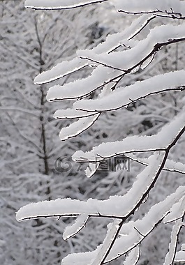 冬天,冰,雪