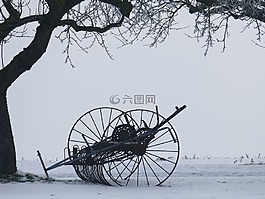 冬天,樹(shù),kahl