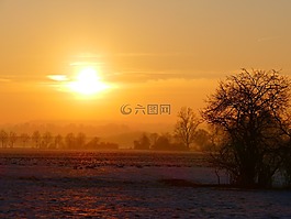寒冬,日落,樹(shù)木