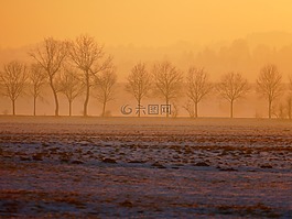 寒冬,日落,樹(shù)木