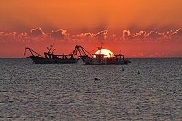 黎明,漁船,海