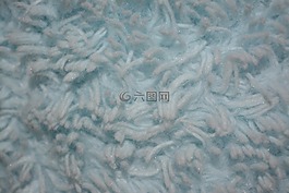 毛皮,白,紋理