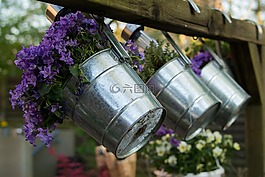 花盆,花園,花花園