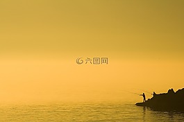 沿海,島,太陽(yáng)木