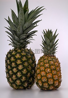 静物,水果,菠萝