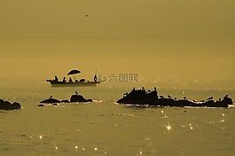 沿海,島,漁船