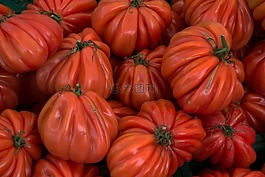 蔬菜,市場攤位,蕃茄